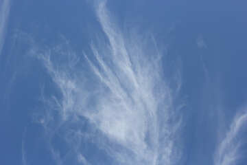 Cielo con nubes №39310