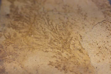 Texture marks on stone №39375