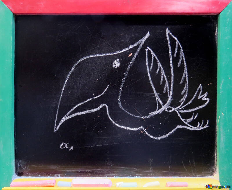 Pterodactyl drawing chalk №39206