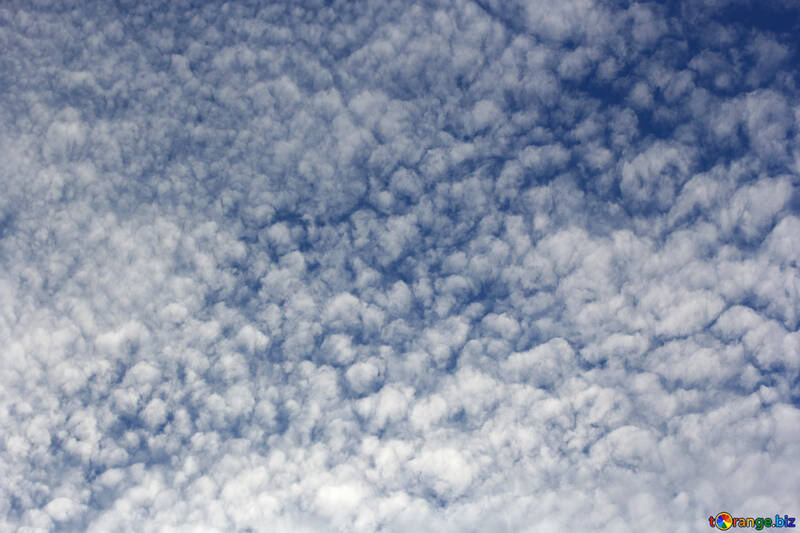 Small clouds №39292