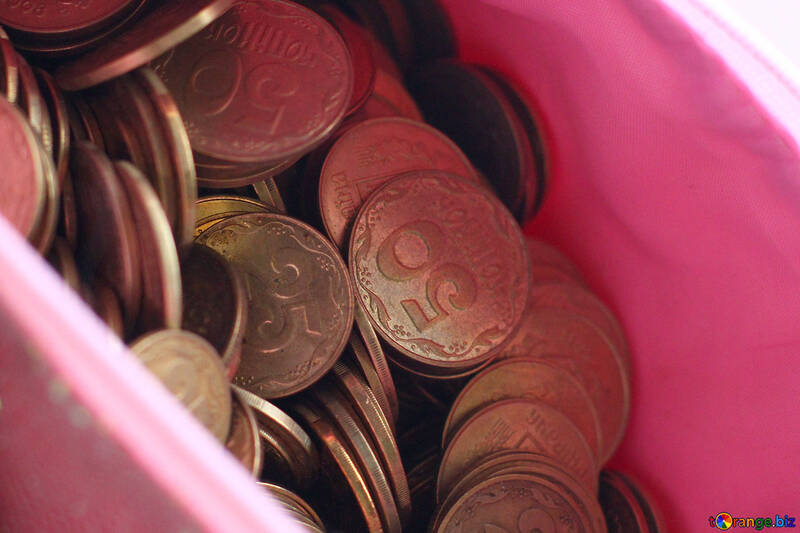 Pièces de monnaie dans le sac №39024