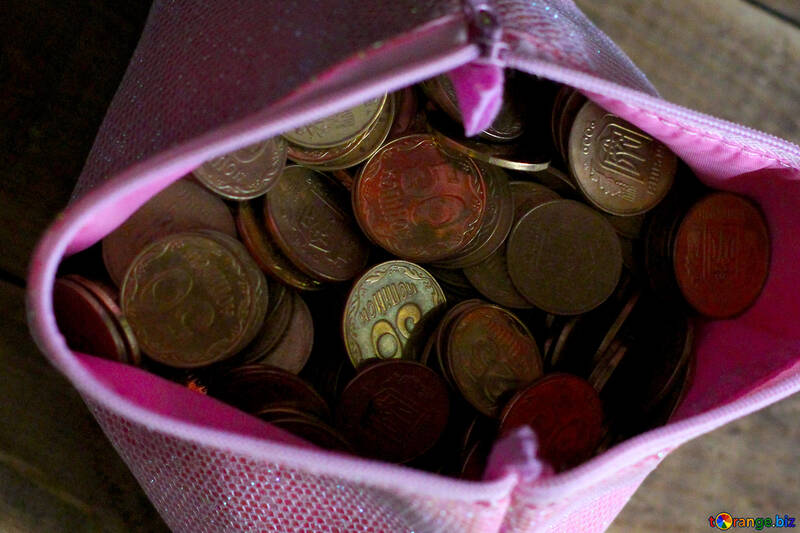 Coins in bag №39027