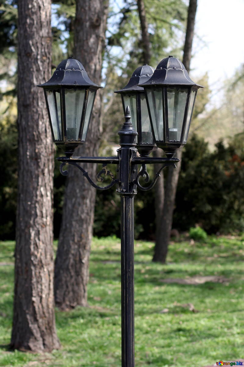 Lantern in the Park №39836