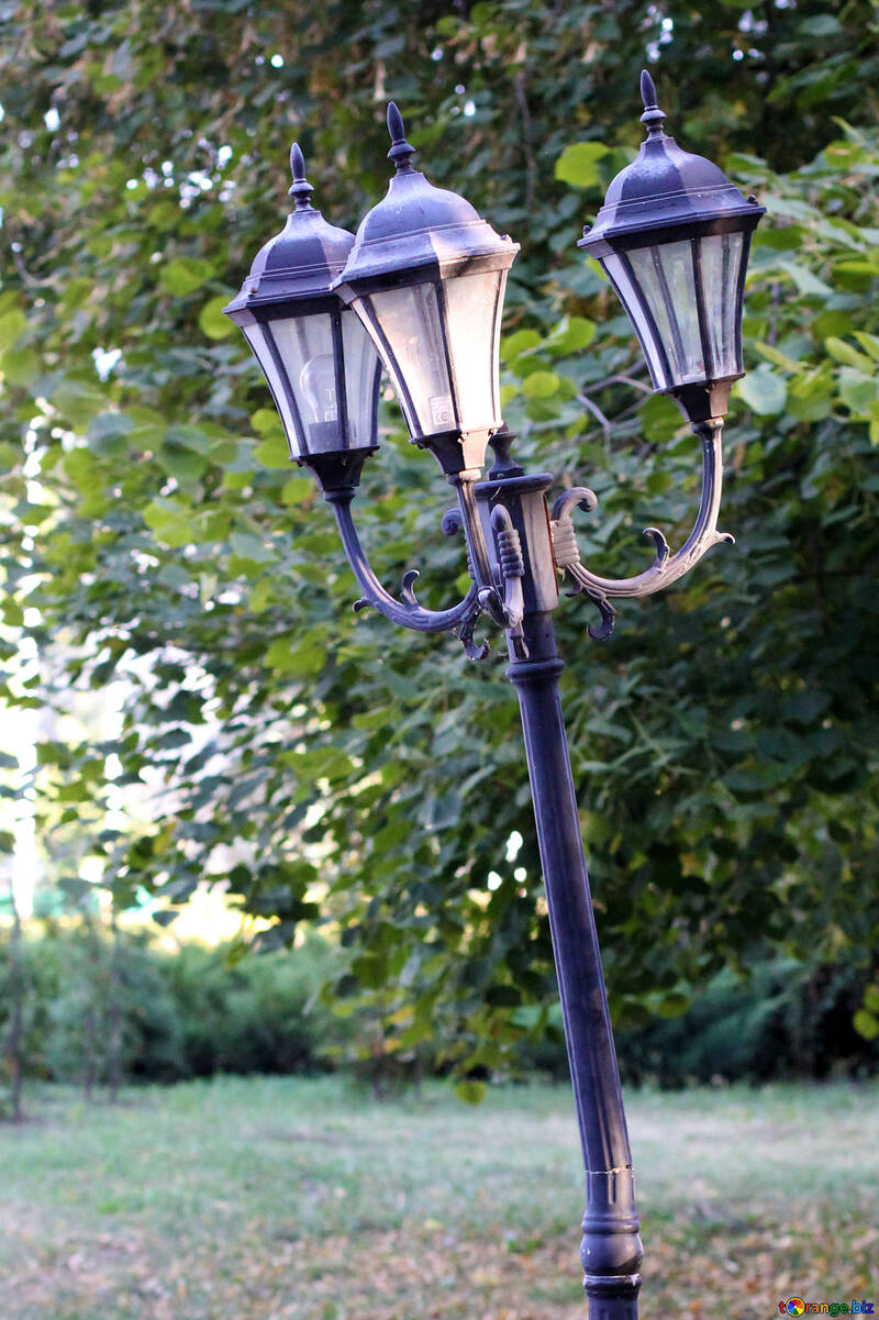 Old lantern on the lamppost №39640