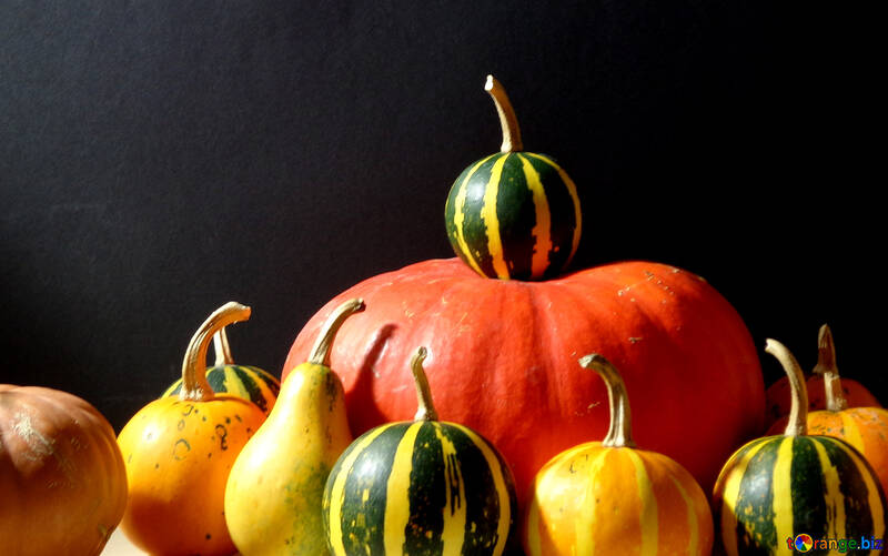 Background with pumpkins №39154