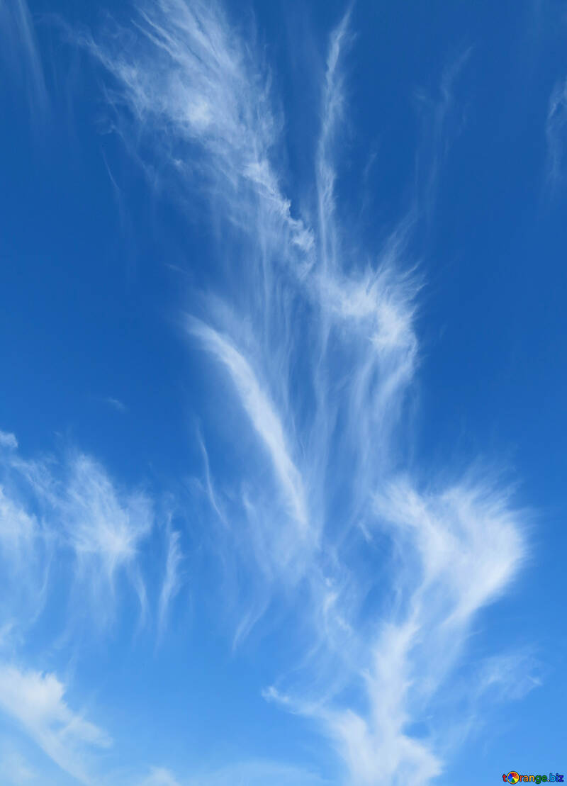Beautiful cloud №39250