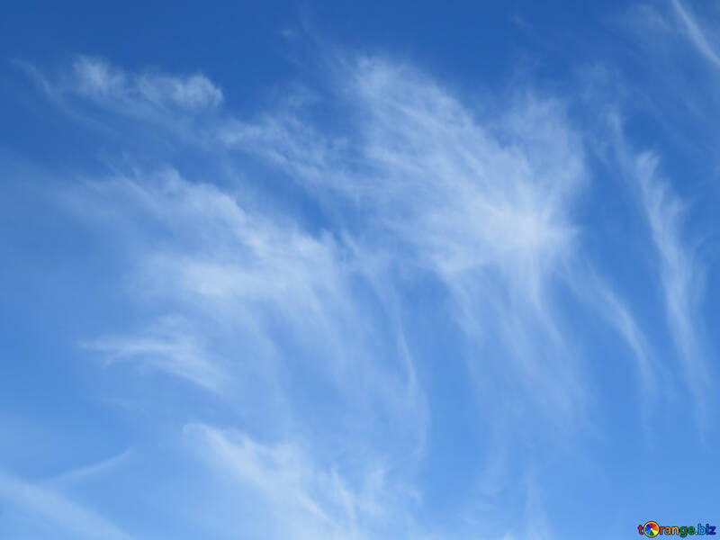 Nubi nel cielo №39256