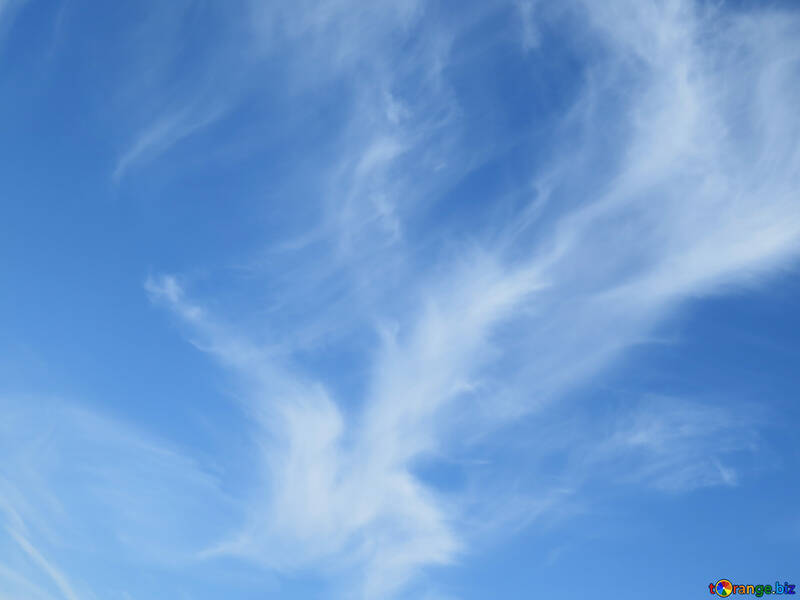 Windward clouds №39258