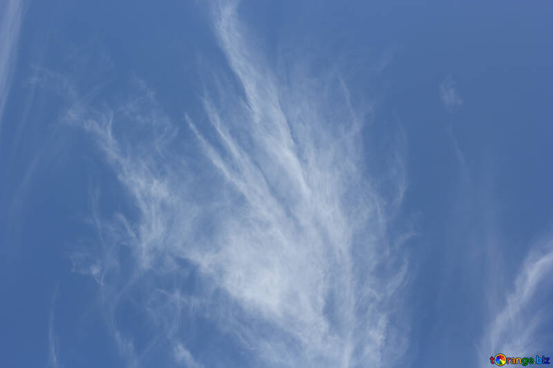 Ciel avec nuages №39310