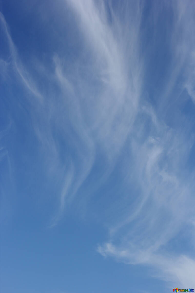 Cielo con nubes №39308