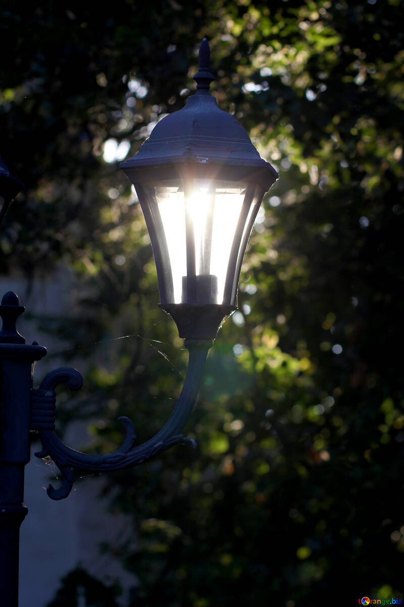 The old street lamp №39646