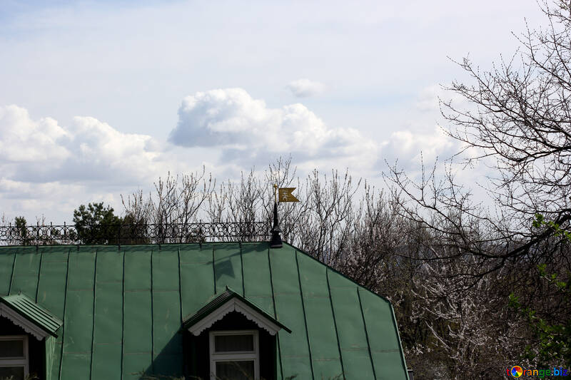 Wetterfahne auf dem Dach №39855