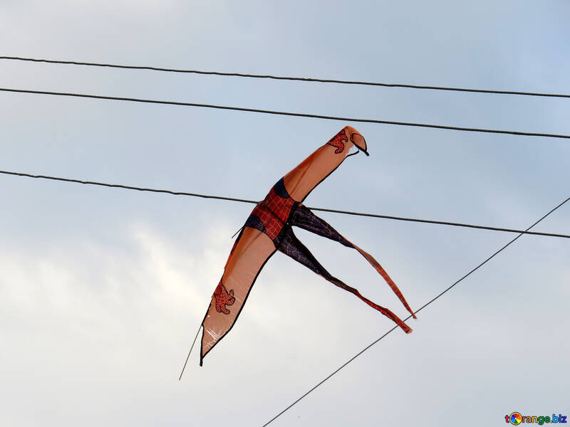 Kite entangled in wires №39246