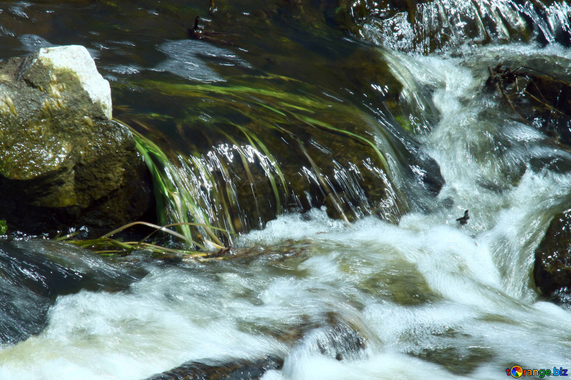 Камень из бегущей воды. Ручей Бешенка. Поток воды. Текущая вода. Вода ручей.