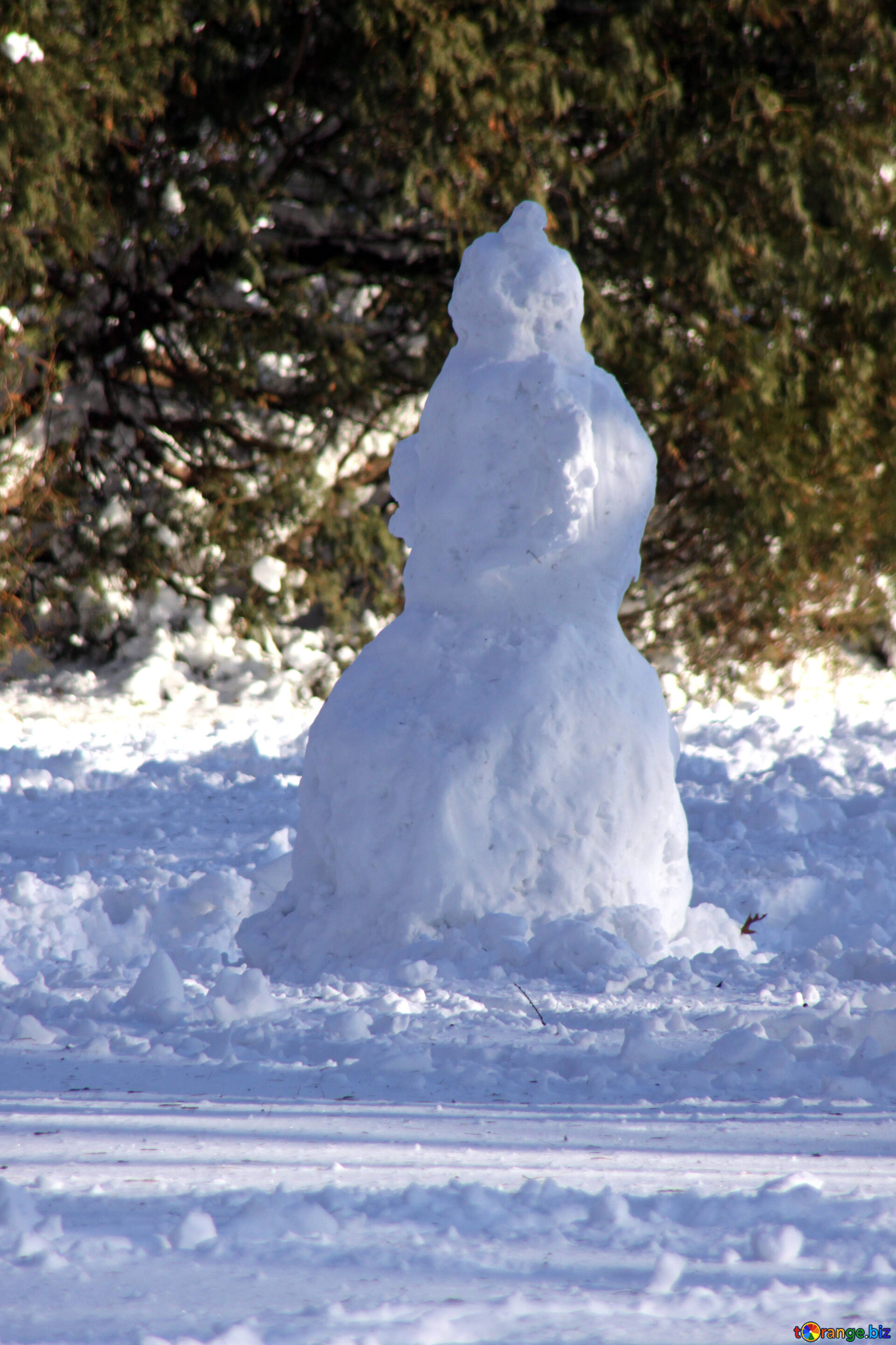 Nieve mujer (muñeco de nieve) imagen libre - № 4251