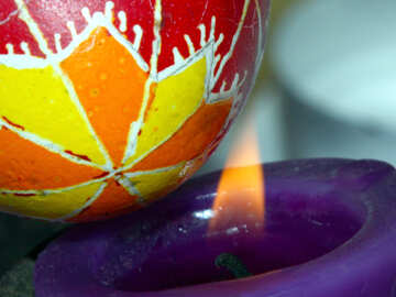 Los huevos se mantienen en la llama de la vela №4397