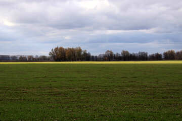 Winter field №4038