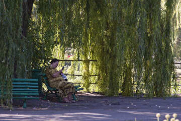 Mujer en un banco en el parque leyendo un periódico en la sombra de un sauce №4217