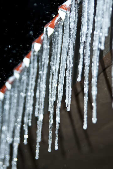 Icicles on the roof №4492