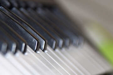Piano keyboard №4488