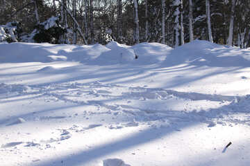 Fußspuren im Schnee №4250