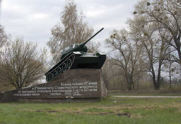 Denkmal  tankman. №4905