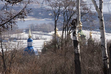Invierno Kiev paisaje con abedules. №4509
