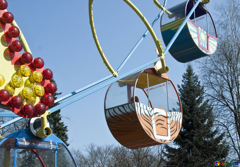 Ferris Roda em jardim zoológico №4545