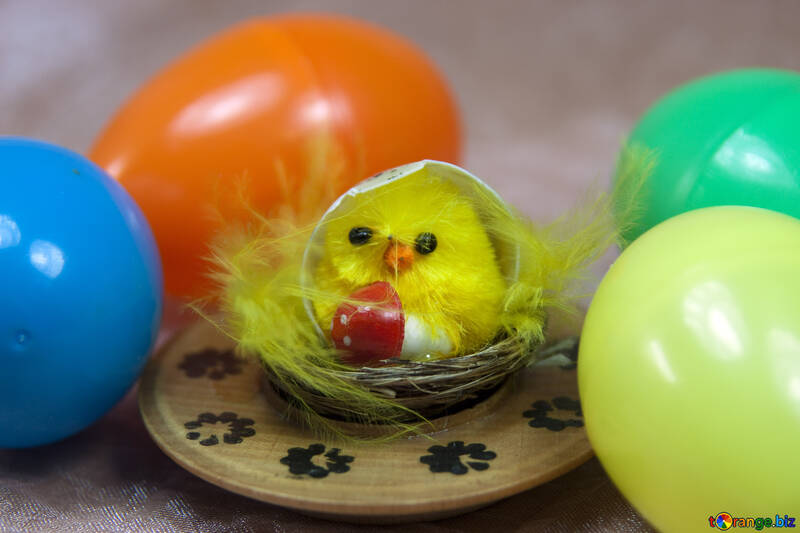 Chicken surrounded by Easter eggs №4331