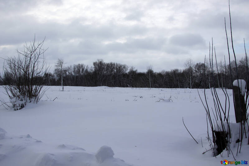 Fields in the winter №4007