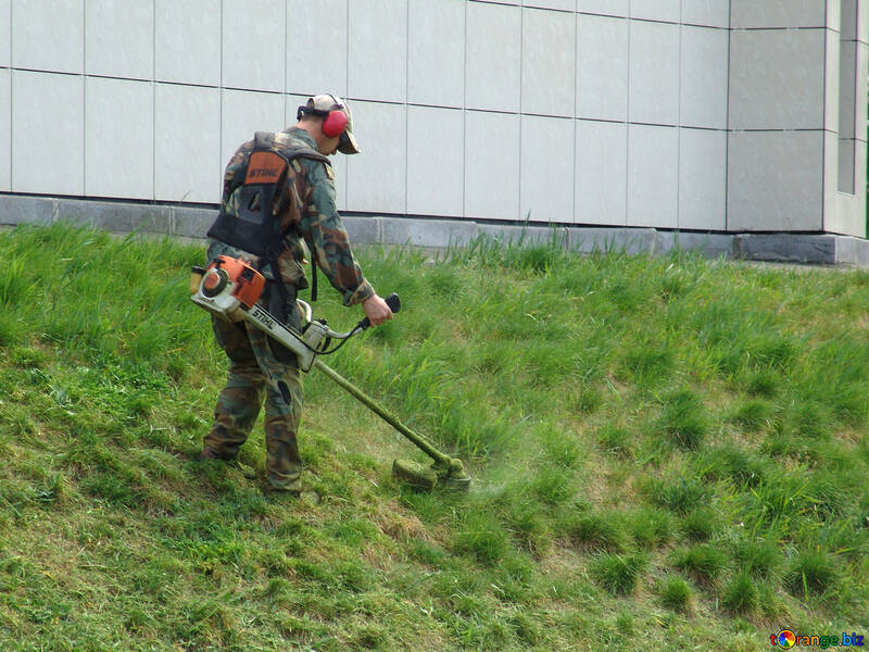 Lawn mowing. Natural grass. №4125