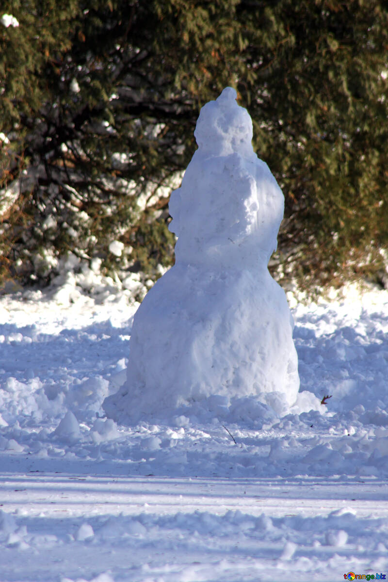Neve  mulher  (boneco de neve) №4251