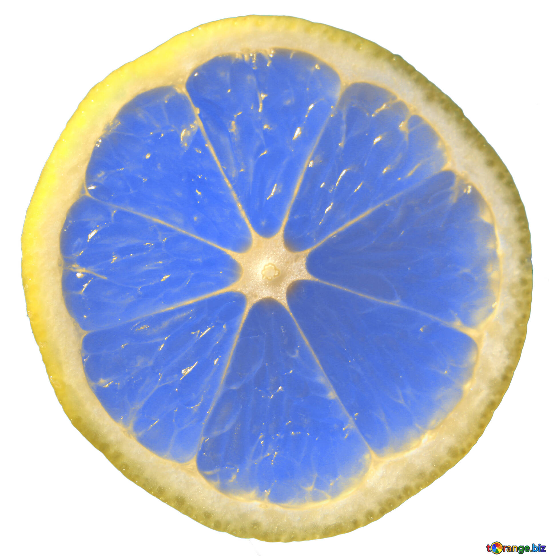 Blue lemon isolated free image - № 40831