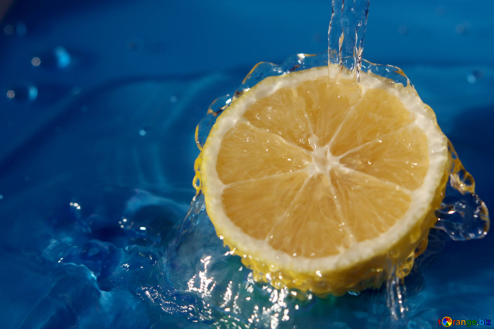 Beauty lemon : 258.734 ảnh, hình ảnh có sẵn và ảnh miễn phí bản quyền |  Shutterstock