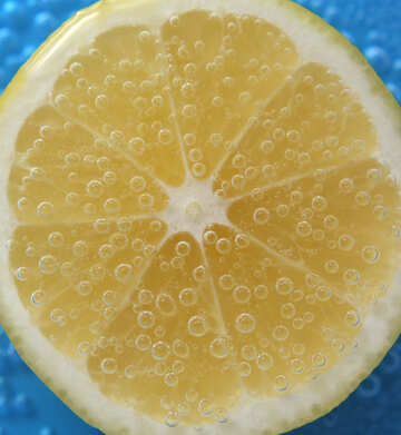 Lemon large №40791