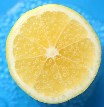Лимон №40788