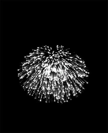 Fireworks №40027