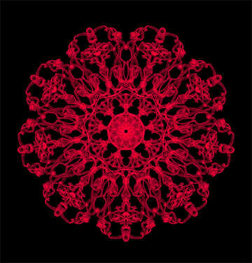 Elemento de ornamento patrón rojo №40273