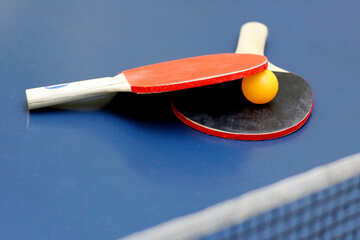 Ping pong №40981