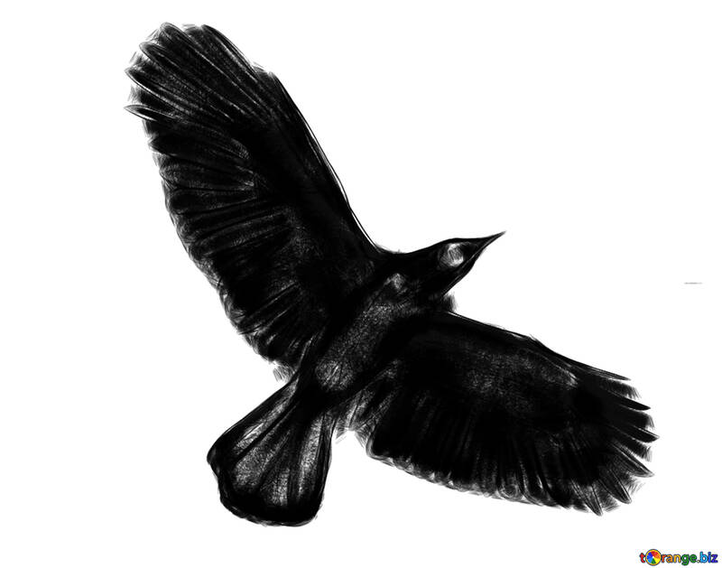 Crow silhouette clipart disegno per Halloween №40590