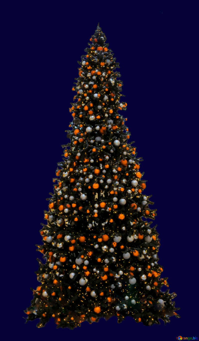 Christmas tree isolated №40740