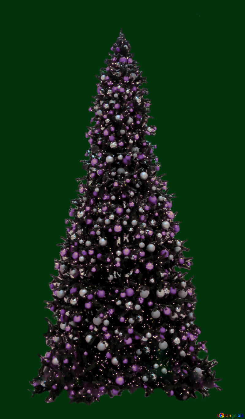 Christmas tree isolated on green background №40737