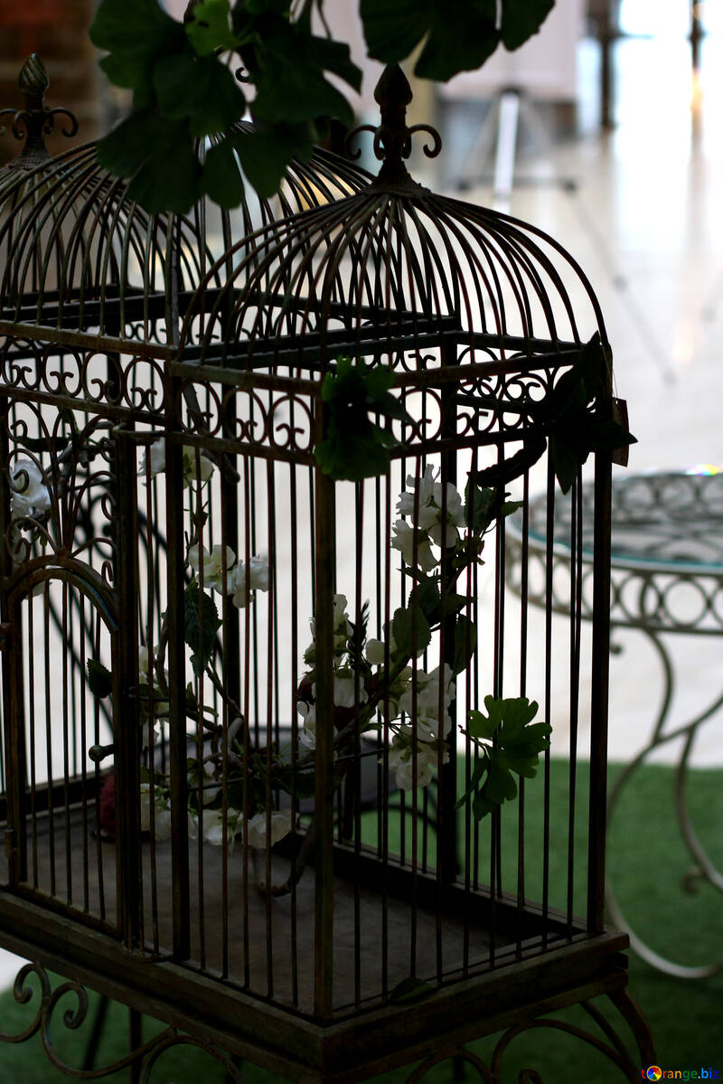 Wrought iron bird cage №40965
