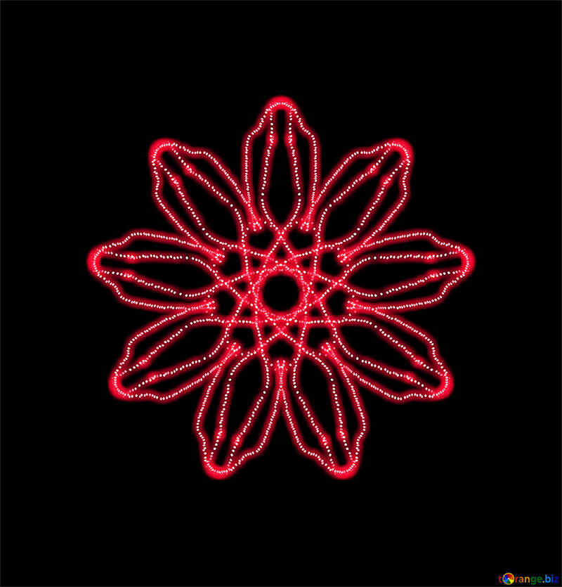 Red flower pattern №40404