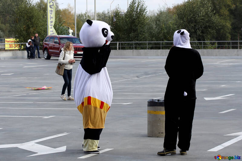 La gente vestidos como osos panda №40938