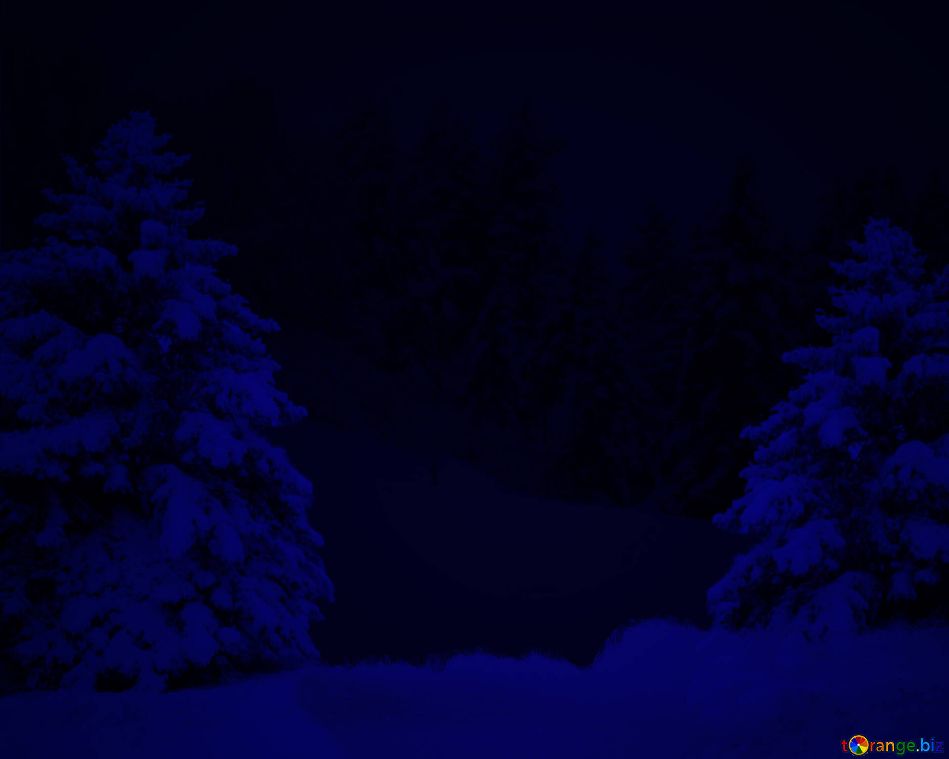クリスマスの背景 無料の写真 背景夜クリスマスの森 無料の写真 クリップアート Torange Biz