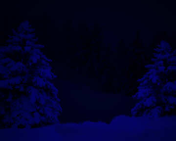 Background night Christmas forest №41332