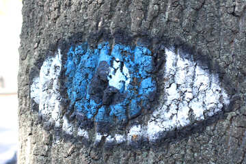 Eye sur l`arbre №41622