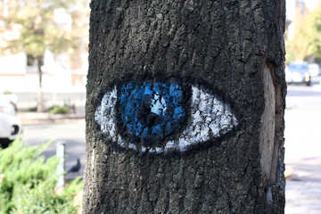 Tree eye №41621
