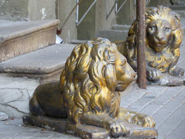 Sculptures de lions à l`entrée №41240